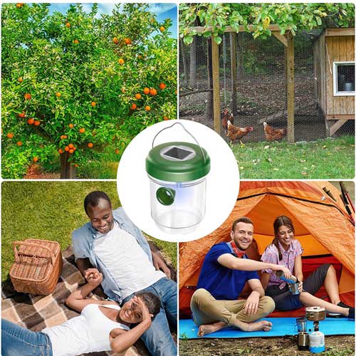 zahradni-lapac-hmyzu